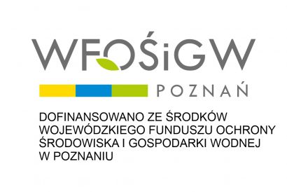 Przedsięwzięcia z zakresu ochrony powietrza...