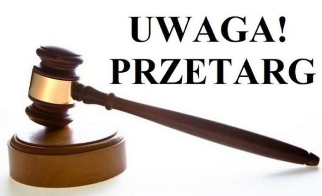 Nadleśnictwo Turek ogłasza przetarg na dzierżawę...